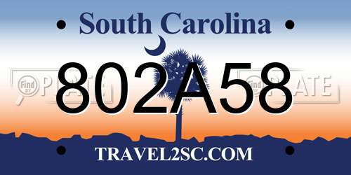 802A58 South Carolina License Plate