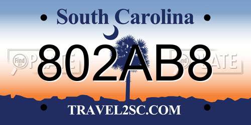 802AB8 South Carolina License Plate