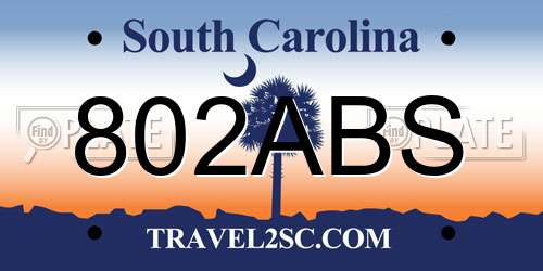 802ABS South Carolina License Plate