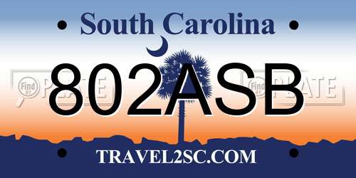 802ASB South Carolina License Plate