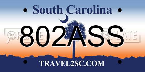 802ASS South Carolina License Plate