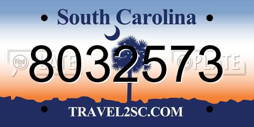 8032573 South Carolina License Plate