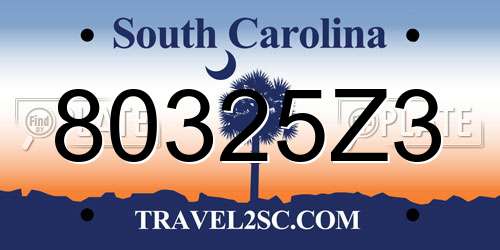 80325Z3 South Carolina License Plate