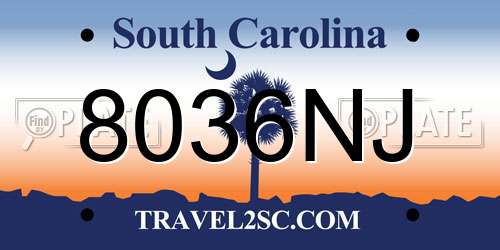 8036NJ South Carolina License Plate