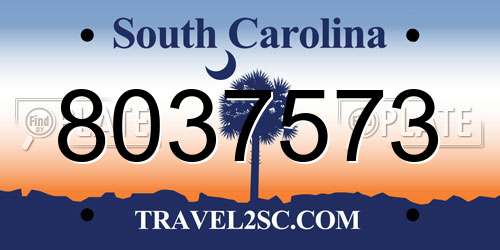 8037573 South Carolina License Plate