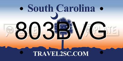 803BVG South Carolina License Plate