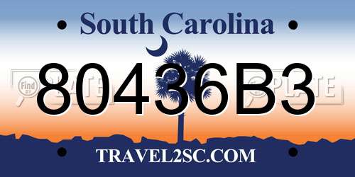 80436B3 South Carolina License Plate