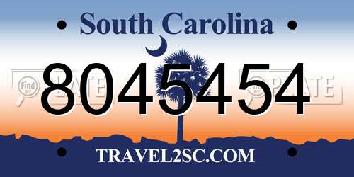 8045454 South Carolina License Plate