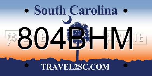 804BHM South Carolina License Plate