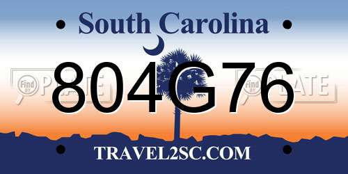 804G76 South Carolina License Plate