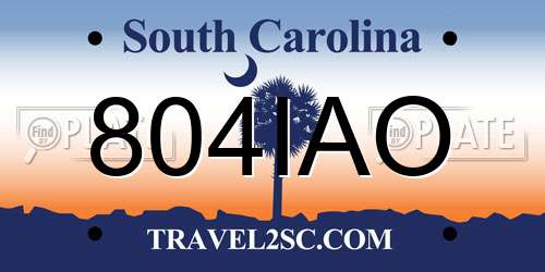 804IAO South Carolina License Plate