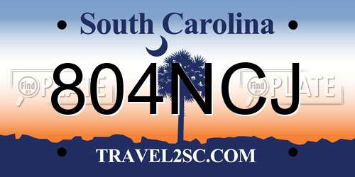 804NCJ South Carolina License Plate