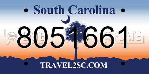 8051661 South Carolina License Plate