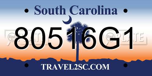 80516G1 South Carolina License Plate