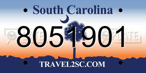 8051901 South Carolina License Plate