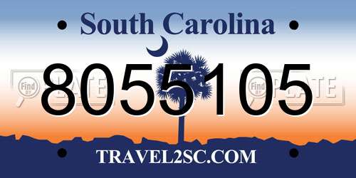 8055105 South Carolina License Plate