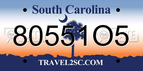 80551O5 South Carolina License Plate
