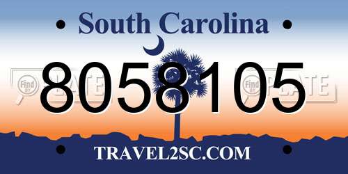 8058105 South Carolina License Plate