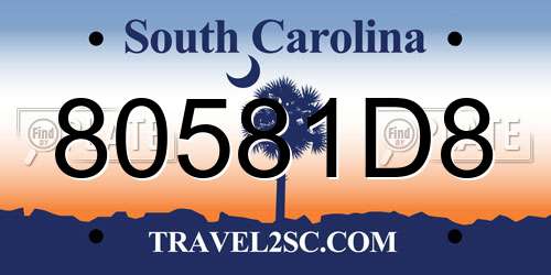 80581D8 South Carolina License Plate