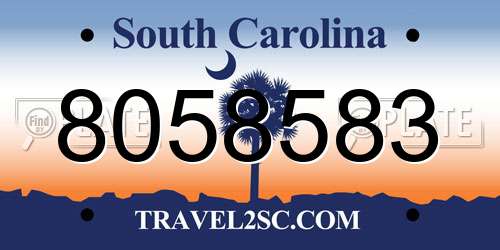8058583 South Carolina License Plate
