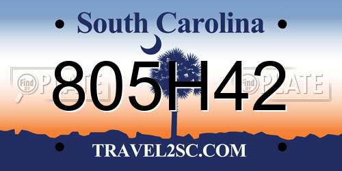 805H42 South Carolina License Plate
