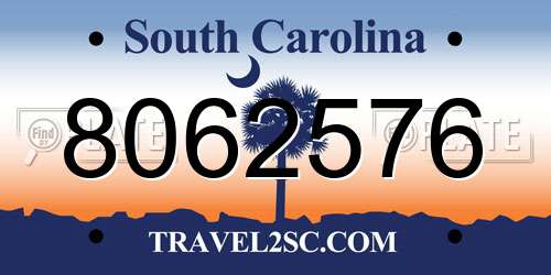 8062576 South Carolina License Plate