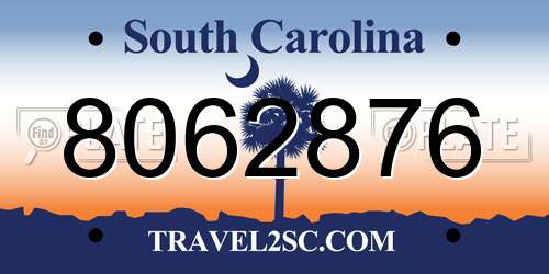 8062876 South Carolina License Plate