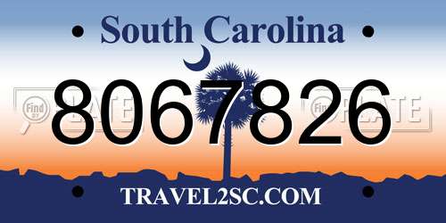 8067826 South Carolina License Plate