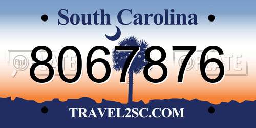 8067876 South Carolina License Plate