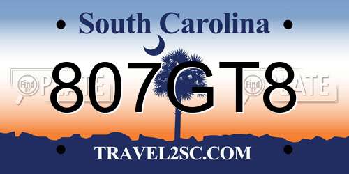 807GT8 South Carolina License Plate