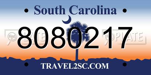 8080217 South Carolina License Plate