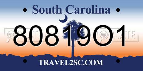 80819O1 South Carolina License Plate