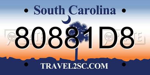 80881D8 South Carolina License Plate