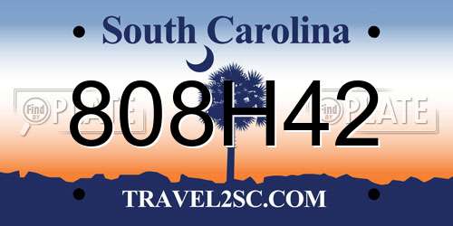 808H42 South Carolina License Plate