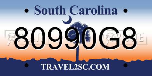 80990G8 South Carolina License Plate