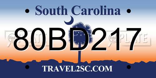 80BD217 South Carolina License Plate