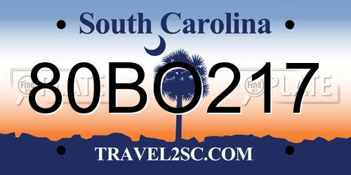 80BO217 South Carolina License Plate