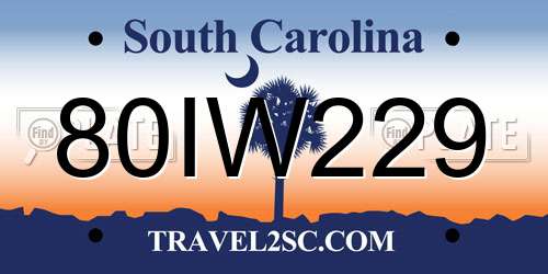 80IW229 South Carolina License Plate