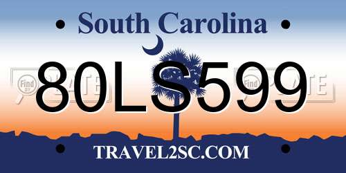 80LS599 South Carolina License Plate