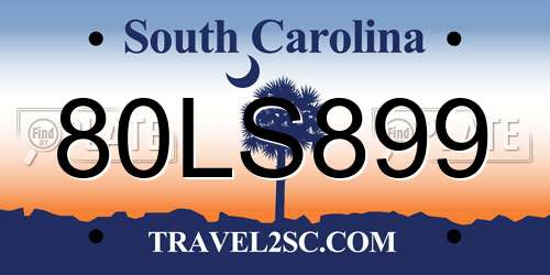 80LS899 South Carolina License Plate
