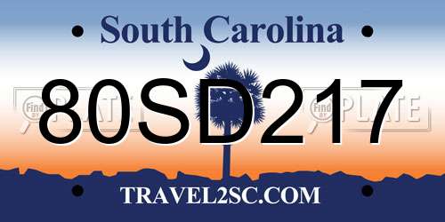 80SD217 South Carolina License Plate