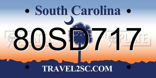 80SD717 South Carolina License Plate