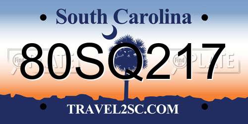 80SQ217 South Carolina License Plate