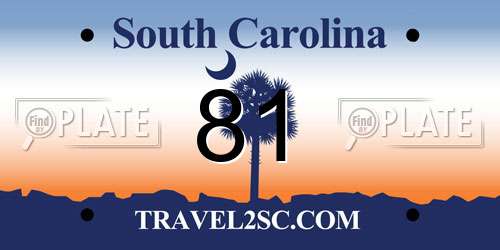 81 South Carolina License Plate