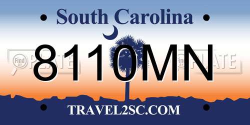 8110MN South Carolina License Plate