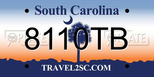 8110TB South Carolina License Plate