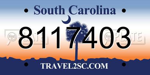 8117403 South Carolina License Plate