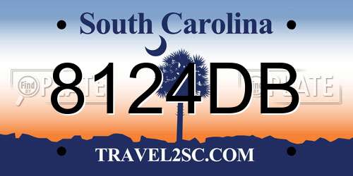 8124DB South Carolina License Plate