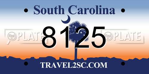 8125 South Carolina License Plate