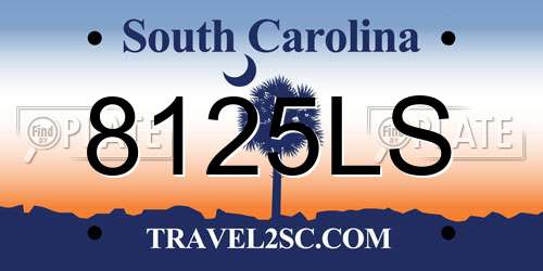 8125LS South Carolina License Plate